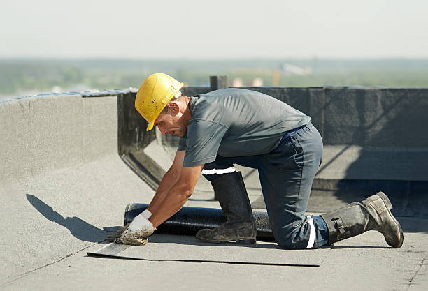 Best Best Insulation Companies  in West End Cobb Town, AL